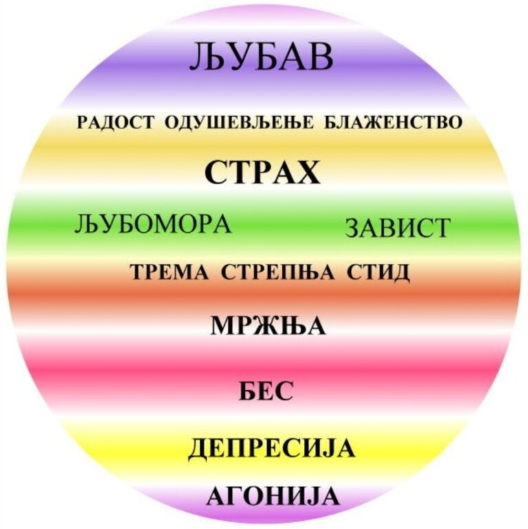 Screenshot_20260126_075436_Docs